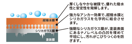 2層のコーティング膜による、深い光沢となめらかな手触りをご体感ください。